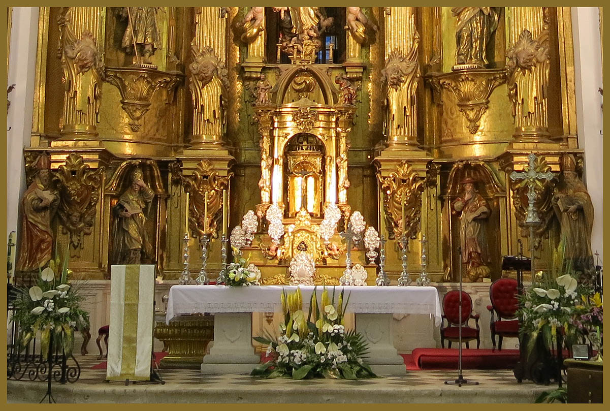 11/02/2024 – Domingo de la 6ª semana de Tiempo Ordinario.