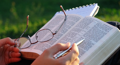 Psalms – Chapter 33