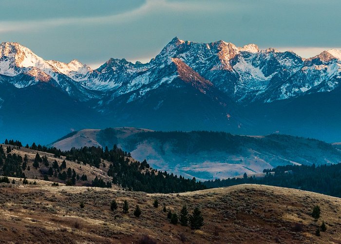 MONTANA